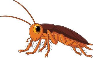 Cute cockroach cartoon on white background vector