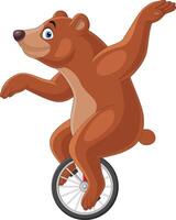 Cartoon bear riding one wheel bike vector