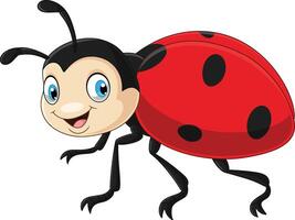 Cartoon happy ladybug on white background vector