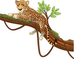 Cartoon leopard lying on a tree branch vector