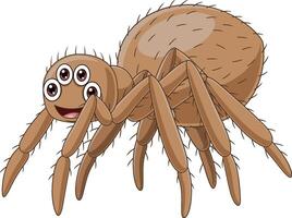 Cute tarantula cartoon on white background vector