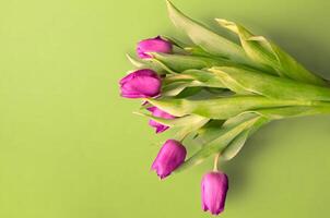 Fresh flower composition, bouquet of bi color tulips photo