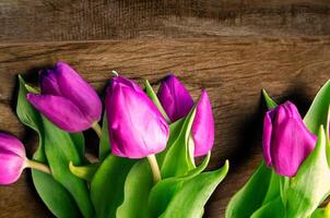 Bouquet of beautiful tulips on wooden background. Tulips on old boards photo