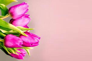 Fresh flower composition, bouquet of bi color tulips photo