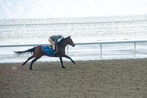 Race horse with jockeys on the home straight. Shaving effect. photo