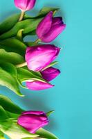 Fresh flower composition, bouquet of bi color tulips photo