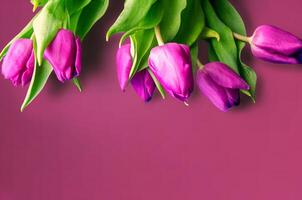 Fresh flower composition, bouquet of bi color tulips photo