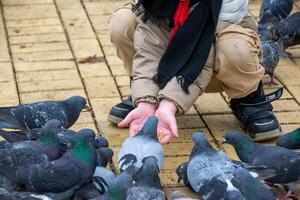 Cute little boy in green rubber boots is feeding pigeons from the bench. Image with toning and selective focus photo