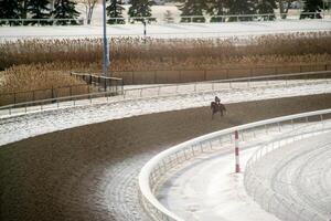 Race horse with jockeys on the home straight. Shaving effect. photo