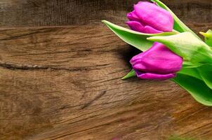 Bouquet of beautiful tulips on wooden background. Tulips on old boards photo