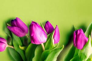 Bouquet of beautiful tulips on wooden background. Tulips on old boards photo