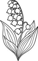 Lily Of the Valley Line Art. Lily Of the Valley outline Illustration, May Birth Month Flower. Lily Of the Valley flower outline drawings isolated on white. Hand painted line art lily of the balley vector