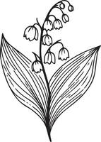 isolated simple minimal one lily of the valley branch twig with glowers and leaves colorless black and white contour line easy drawing coloring pages for kids, lily of the valley coloring page vector