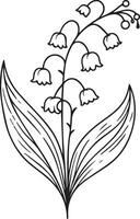 lirio de el Valle flores colorante página, sencillez, embellecimiento, monocromo, arte, contorno impresión con flores allamanda catártico, hojas, y brotes lirio de el Valle flores tatuajes vector