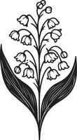 lirio de el Valle flor dibujos. negro y blanco con línea Arte en blanco antecedentes. mano dibujado botánico ilustraciones mayo nacimiento mes flor dibujo, lirio de el Valle flor botanica dibujos vector