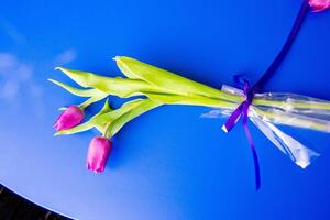 Flowers tulips pink with bright green stems and leaves on a blue background. photo