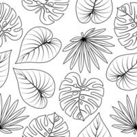 Seamless pattern with hand drawn monstera, palm tropical leaves on white background. vector