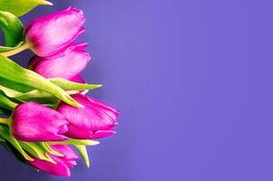 Fresh flower composition, bouquet of bi color tulips photo