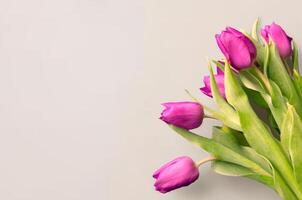 Fresh flower composition, bouquet of bi color tulips photo