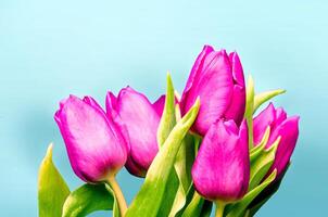 Fresh flower composition, bouquet of bi color tulips photo