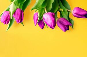 Fresh flower composition, bouquet of bi color tulips photo