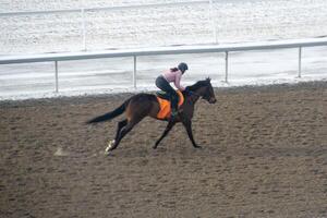 Race horse with jockeys on the home straight. Shaving effect. photo