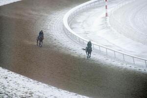 carrera caballo con jinetes en el hogar derecho. afeitado efecto. foto