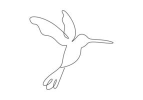 colibrí continuo uno línea dibujo prima ilustración vector