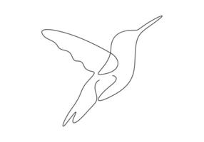 colibrí continuo uno línea dibujo prima ilustración vector