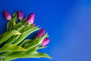 flores tulipanes rosado con brillante verde tallos y hojas en un azul antecedentes. foto