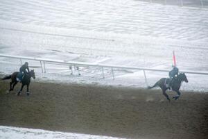 Race horse with jockeys on the home straight. Shaving effect. photo