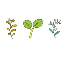 leaves illustration set vector