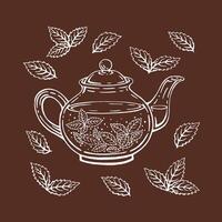 Teapot, mint leaves, tea. Hand drawn illustration in outline style. vector