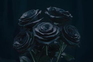 Gothic allure black roses contrast against a dark backdrop photo