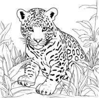 Jaguar in the jungle. Hand drawn illustration for coloring book. vector