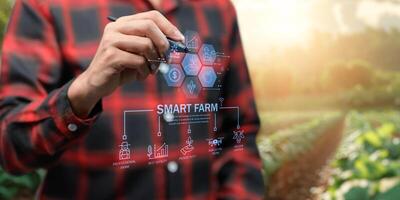 Smart Farm UI hologram system control, maintenance, displaying growth information Nutrients, fertilizers, water, insect pests of trees, plants, and vegetables, use technology in agriculture. photo