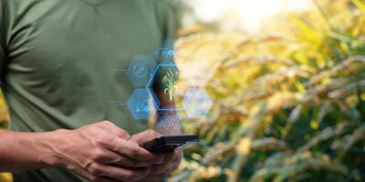 Smart Farm UI hologram system control, maintenance, displaying growth information Nutrients, fertilizers, water, insect pests of trees, plants, and vegetables, use technology in agriculture. photo