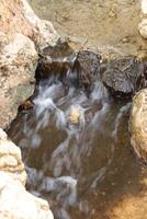 stream with water, park el palmeral, alicante, spain photo