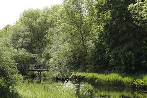 canal with bridge in the netherlands, spring, photo