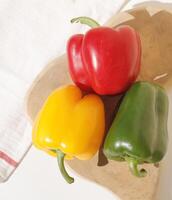 three colors bell pepper, red, green, yellow photo