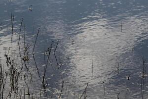 reflexión en el agua de un nube foto