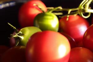 Tomates en el luz de sol foto