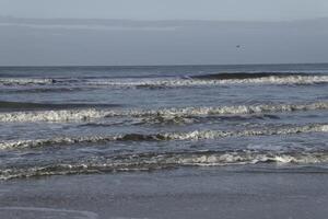little waves by low tide on the north sea, netherlands photo