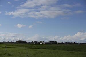 dutch landscape, netherlands photo