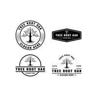 set of collection tree root oak logo design circle emblem badge vector