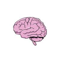 side view of human brain illustration vector