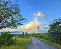 there is a road that is next to a tree and a body of water photo