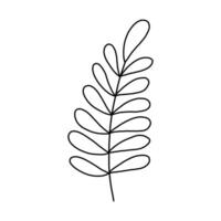 Leaves and twigs on an isolated white background vector