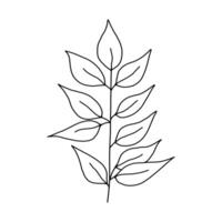 Leaves and twigs on an isolated white background vector