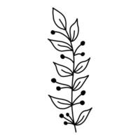 Leaves and twigs on an isolated white background vector